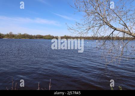 Impressionen aus Bad Zwischenahn in Niedersachsen Foto Stock