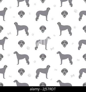 Scottish deerhound senza cuciture. Pose diverse, colori del cappotto impostati. Illustrazione vettoriale Illustrazione Vettoriale