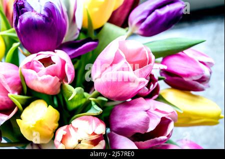 Mazzo colorato di tulipani; Bunter Tulpenstrauß Foto Stock