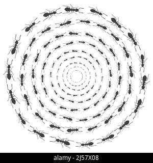 Sentiero di formiche. Telaio di insetto circolare. Vettore Illustrazione Vettoriale