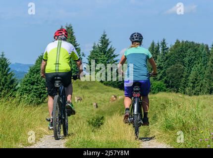 Sulla strada con pedelec nella campagna collinosa nella regione di Allgäu Foto Stock