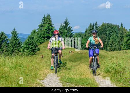 Sulla strada con pedelec nella campagna collinosa nella regione di Allgäu Foto Stock