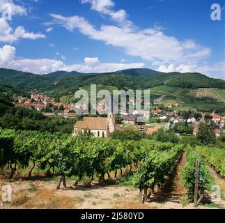 Vista sui vigneti e villaggio di Andlau, Andlau, Alsazia, Francia, Europa Foto Stock