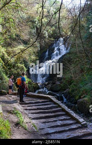 Cascata Torc, Parco Nazionale di Killarney, nella contea di Kerry, Irlanda Foto Stock