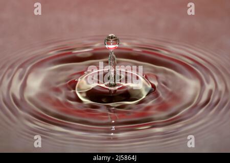 Tropfenfotografie, Wassertropfen caduto auf Wasseroberflaeche, Wassersaeule, Farbenspiel, Studioaufnahme Foto Stock