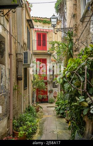 Old Town Alley, piante, Monreale, Sicilia, Italia Foto Stock