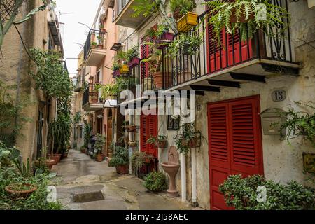 Old Town Alley, piante, Monreale, Sicilia, Italia Foto Stock