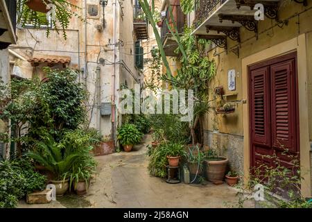 Old Town Alley, piante, Monreale, Sicilia, Italia Foto Stock