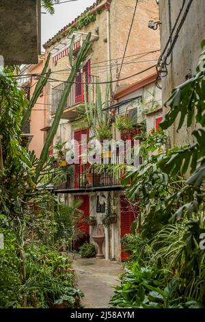 Old Town Alley, piante, Monreale, Sicilia, Italia Foto Stock