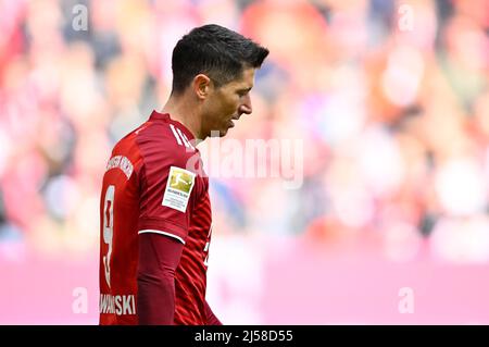 Robert Lewandowski FC Bayern Muenchen FCB (09), Allianz Arena, Muenchen, Bayern, Deutschland Foto Stock