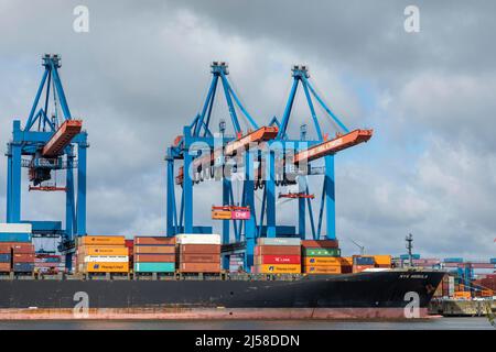 Containerschiff, Containerterminal Altenwerder, Hafen, Amburgo, Germania Foto Stock