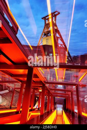 Die beleuchtete Gangway mit dem Foerdergeruest der Zeche Zollverein Schacht XII, Essen, Ruhrgebiet, Nordrhein-Westfalen, Deutschland Foto Stock