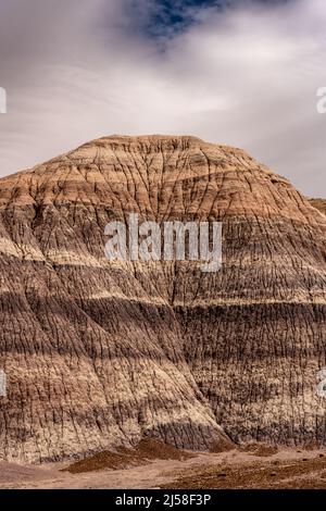 Strati di Grays e Browns su Una formazione di Tall Badlands nel Parco Nazionale della Foresta pietrificata Foto Stock