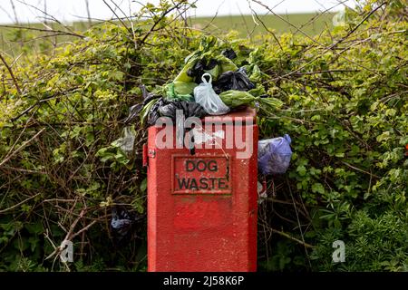 Uno straripante cestino di rifiuti di cani nella campagna del Sussex dopo un affollato fine settimana di festa della banca Foto Stock