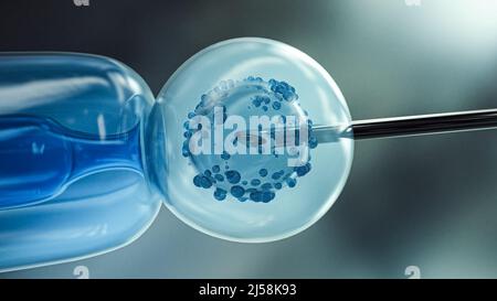 Ovulo con ago per inseminazione artificiale o fecondazione in vitro. 3D rendering Foto Stock