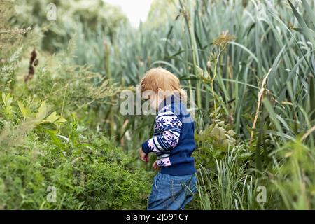 Una bambina è una bambina tra l'erba alta del parco. Molla. Foto Stock