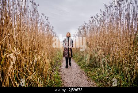 Solo per uso editoriale - autore Kate Mosse OBE fotografato su letti a Fishbourne, Bosham, West Sussex UK Foto Stock