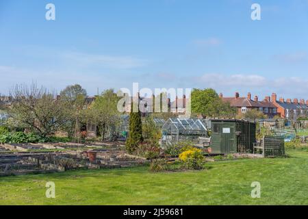 Vista sulla zona con letti rialzati, serra e capannone, Newcastle upon Tyne, Regno Unito. Foto Stock