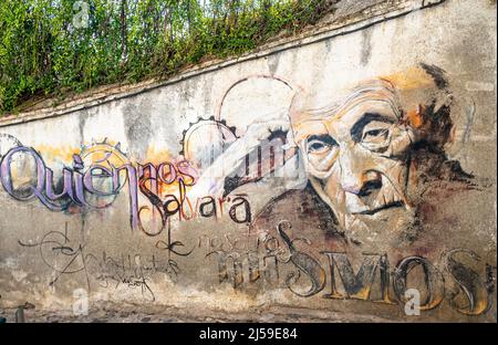 Murale di SMOS raffigurante l'uomo vecchio sul muro del Giardino del Colegio de Santo Domingo de Vistillas. Realejo, Granada, Andalusia, Spagna Foto Stock