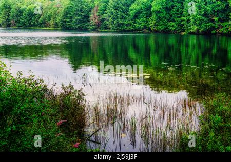 Lago Mayflower al parco provinciale Arrowhead a nord di Huntsville, Ontario, Canada Foto Stock