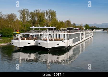 Breisach, Germania - Aprile 2022: Vista frontale di due navi da crociera sul fiume Vichingo ormeggiate fianco a fianco vicino al centro della città con riflessi nell'acqua. Foto Stock