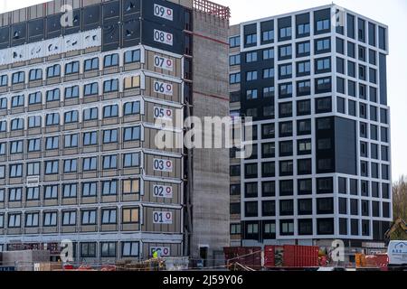 Cantiere del Campus comunitario, qui 737 appartamenti per studenti, di 20 metri quadrati ciascuno, sono in costruzione, completamente arredati, in construzione modulare Foto Stock