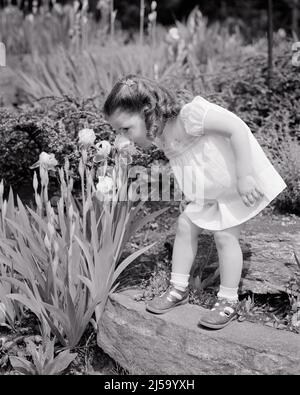 1940S CUTE BAMBINA SNIFFING FIORE PRIMAVERA IRIS FIORI NEL GIARDINO - J6003 HAR001 HARS MARY JANE SNIFF MARY JANES ABITO CORTO GIARDINI ELEGANTE PIACEVOLE PIACEVOLE AFFASCINANTE CRESCITA IRIS GIOVANI LOVABLE PIACEVOLE SNIFFING PRIMAVERA ADORABILE AROMA BABY RAGAZZA FIORE BIANCO E NERO ETNIA CAUCASICA HAR001 ODORE VECCHIO STILE Foto Stock