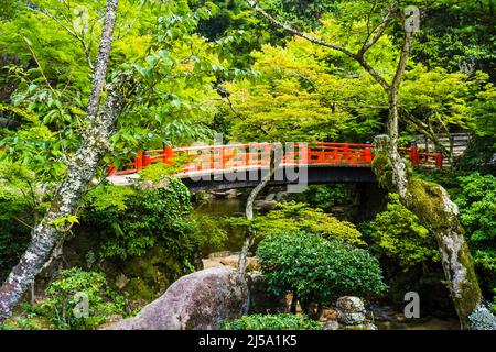 Isola di Miyajima, parco di Momijidani, Giappone Foto Stock