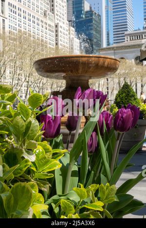 Bryant Park ha un bellissimo paesaggio in primavera, New York City, USA 2022 Foto Stock