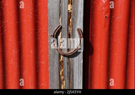 Una scarpa da cavallo arrugginita è inchiodata a un pezzo di legno rustico su un edificio rosso, in ferro ondulato Foto Stock