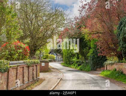 Strada e cottage in Abbots Morton villaggio in Worcestershire, Inghilterra. Foto Stock