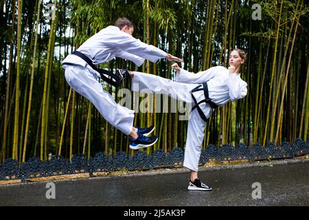 calci alti della gente durante l'addestramento di taekwondo all'aperto sfondo di bambù Foto Stock