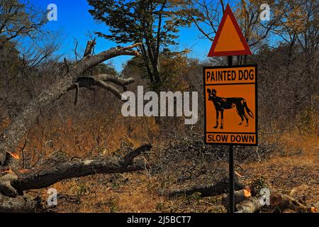 Segnaletica stradale con animale, cane dipinto, Rallenta. Vedova pericolosa in Africa. Busch vicino alla strada con cane dipinto. Paesaggio dall'Africa. Foto Stock