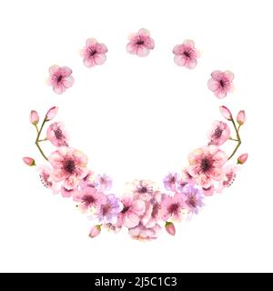 Una corona di sakura rosa primaverile fiorisce su uno sfondo bianco isolato. Illustrazione dell'acquerello. Vettore Illustrazione Vettoriale