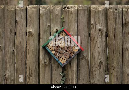Un hotel per insetti, conosciuto anche come un hotel per insetti fatto di legno forato e corteccia Foto Stock