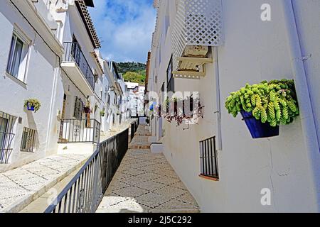 Mijas imbiancò le strade intorno alla Calle de Pilar Malaga Spagna nel primo mattino pace e tranquillità Foto Stock