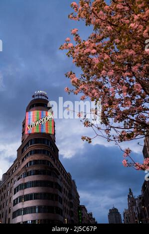 Popolare edificio Carrion con Scheppes di notte in Gran Via, Madrid, Spagna Foto Stock