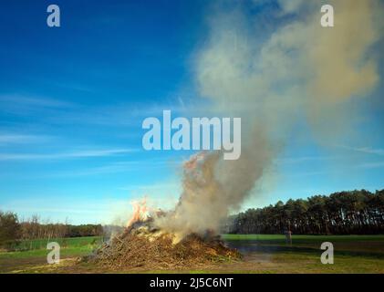 16 aprile 2022, Sassonia-Anhalt, Kathendorf: Un fuoco pasquale è acceso in prima serata vicino a una pineta. Foto: Soeren Stache/dpa Foto Stock