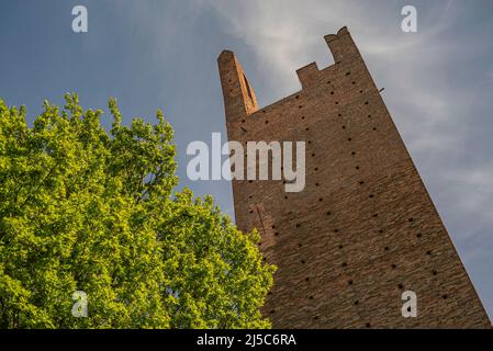 Torre Dona e Torre Grimaldi: Le due antiche Torri di Rovigo in Italia Foto Stock