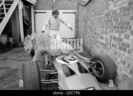 Christian il leone incontra il futuro campione del mondo F.1 James Hunt a Londra 1970. Foto Stock