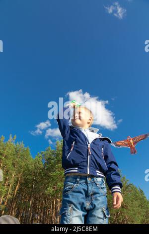 Un ragazzo di sei anni in giacca blu lancia un uccello aquilone in natura sullo sfondo di un cielo blu chiaro in una giornata estiva. Il luminoso Foto Stock