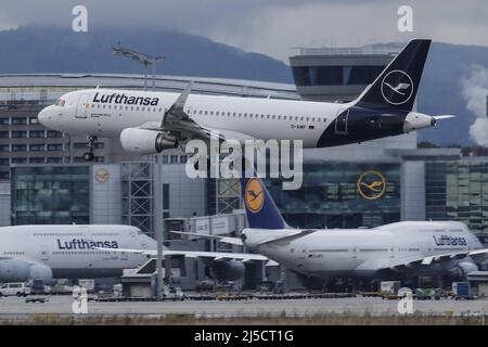 Frankfurt am Main Airport, DEU, 03.10.2020 - Un Lufthansa Airbus atterra all'aeroporto di Francoforte sul meno. Il numero di voli presso la Lufthansa German Airlines è diminuito drasticamente dall'insorgenza del coronavirus. [traduzione automatizzata] Foto Stock