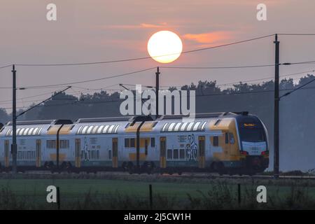 Danewitz, DEU, 08.12.2020 - Regional express della ferrovia ODEG al tramonto. I numeri dei passeggeri delle Ferrovie tedesche sono diminuiti bruscamente a causa della pandemia di Corona. [traduzione automatizzata] Foto Stock