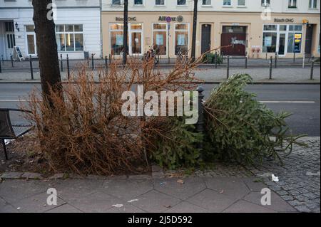 11 gennaio 2022, Berlino, Germania, Europa - alberi di Natale scartati e consumati senza decorazioni per alberi di Natale si trovano sul lato della strada in una zona residenziale nel quartiere Mitte pronto per essere prelevato dal servizio di pulizia della città di Berlino (BSR). [traduzione automatizzata] Foto Stock