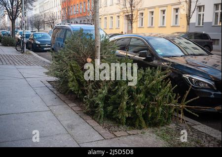 11 gennaio 2022, Berlino, Germania, Europa - alberi di Natale scartati e consumati senza decorazioni per alberi di Natale si trovano sul lato della strada in una zona residenziale nel quartiere Mitte pronto per essere prelevato dal servizio di pulizia della città di Berlino (BSR). [traduzione automatizzata] Foto Stock