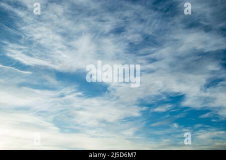 Sfondo blu cielo. Nuvole di cirro chiaro in raggi del sole in una giornata estiva. Foto Stock