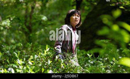 Okja anno : 2017 Corea del Sud / USA Direttore : Bong Joon ho an Seo Hyun Foto Stock