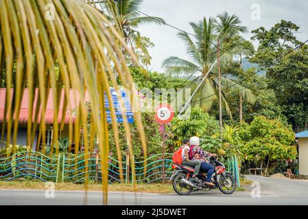 Vita quotidiana nell'area di Balik Pulau, nel distretto sudoccidentale dell'Isola di Penang, nell'Isola di Penang, in Malesia Foto Stock