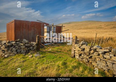 La grande collina di Knoutberry, conosciuta anche come Widdale Fell, è una montagna situata vicino a Dent alle teste di Ribblesdale, Dentdale e Wensleydale in t Foto Stock