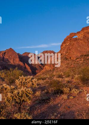 Arch Canyon luce serale, Ajo Mountain Drive, Organ Pipe Cactus National Monument, Arizona. Foto Stock